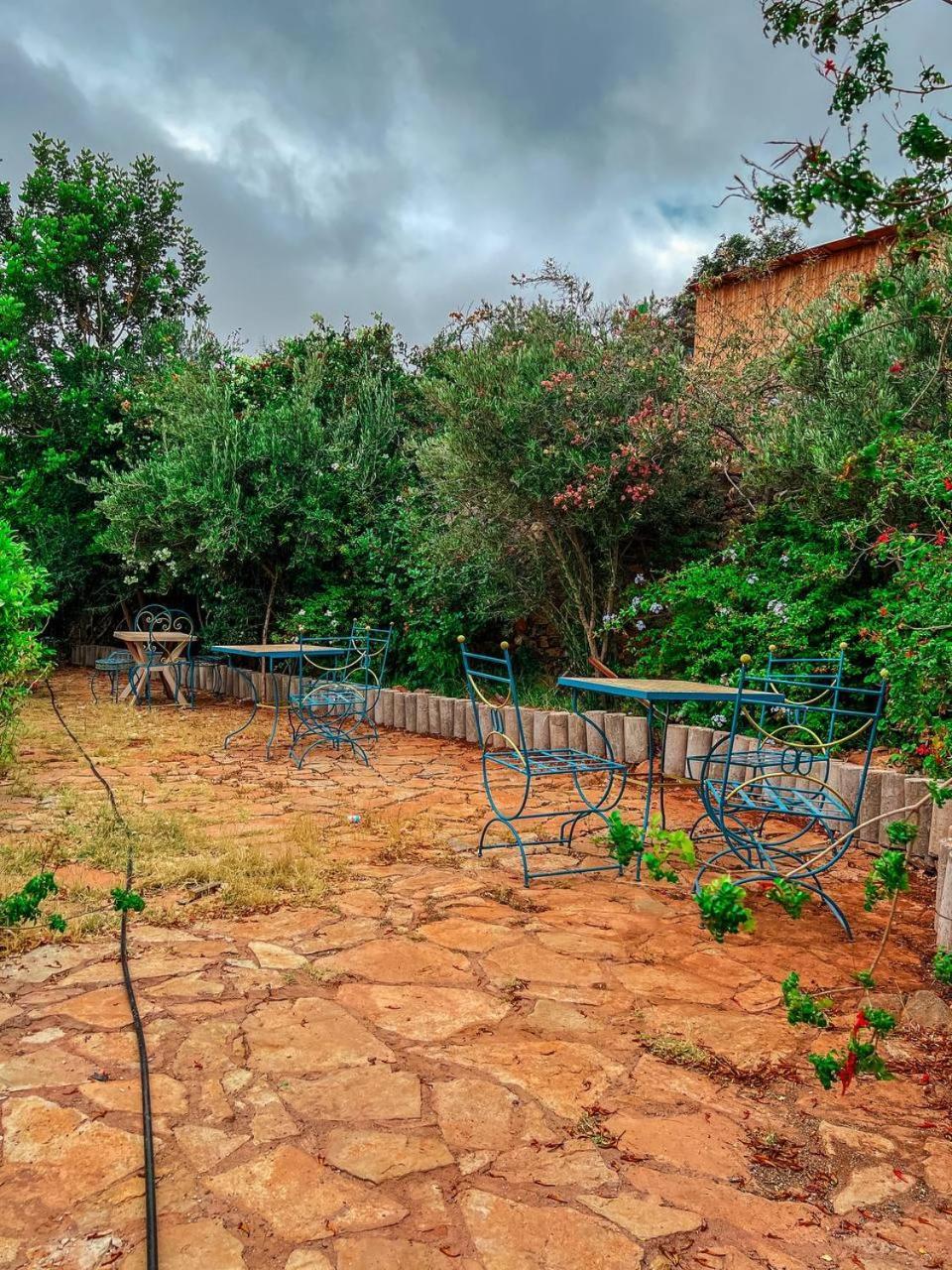 Gite Rurale Sousse Paradis Vallee Tagherat Anekrim Δωμάτιο φωτογραφία